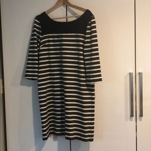 Gap sweatshirt dress
